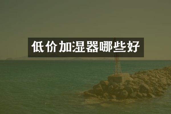 低价加湿器哪些好