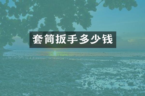 套筒扳手多少钱