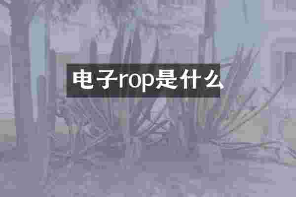 电子rop是什么