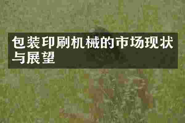 包装印刷机械的市场现状与展望