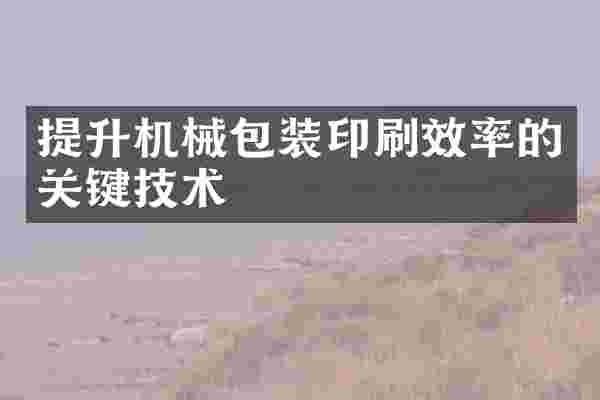 提升机械包装印刷效率的关键技术