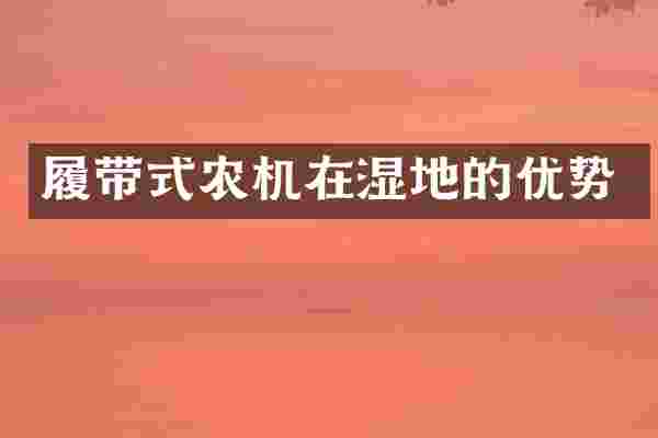 履带式农机在湿地的优势