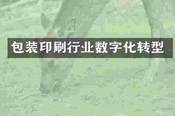 包装印刷行业数字化转型