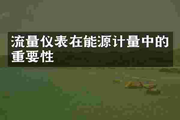 流量仪表在能源计量中的重要性