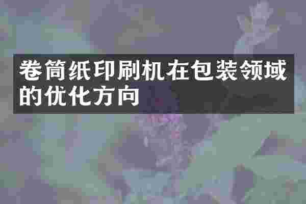 卷筒纸印刷机在包装领域的优化方向