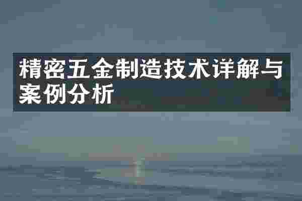 精密五金制造技术详解与案例分析